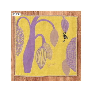 4512873041494 y8z morita Miw K[[nJ` ԂƃJGyLZsz