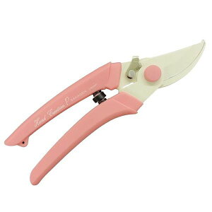 y[݌ɕizuv4900686101458 y6z nT~ nhNG[VP|180 sNyLZsz