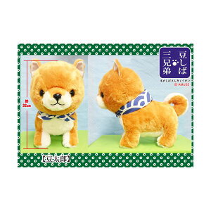 4534943721464 y12zΎOZBIG YyLZsz