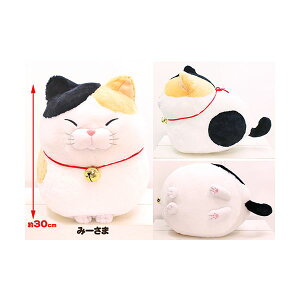 4534943722454 y12zЂ܂񂶂イBIG ݁[܁yLZsz