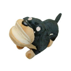 4958762090356 y15zE|5 Aj}X^h _bNXN 33918yLZsz