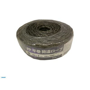 PROMOTE プロモート 4516474800498 5mmx100M 黒 DS_Line PP荷造よりロープ