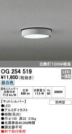 オーデリック ODELIC OG254519 LEDポーチライト