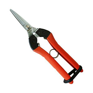 4976365202082 T{e Ռz p NoDAG|8L