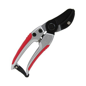 4977292623896 g ₷} SGP|52