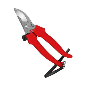 4977292627986 g XeX SGP|41