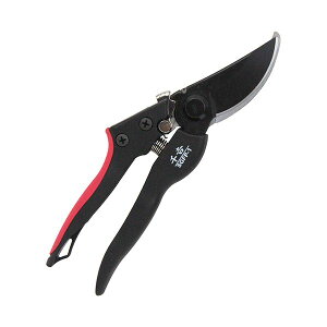 4977292628167 g GF SObv SGFP|1