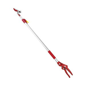 4977292685658 g yʐLk}2i SGLP|13