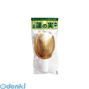 y 4905891210872 W[py@̎z ^JyLZsz