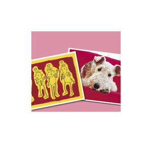 TTvC JP-AGA6 CNWFbgv^pE A6 JPAGA6