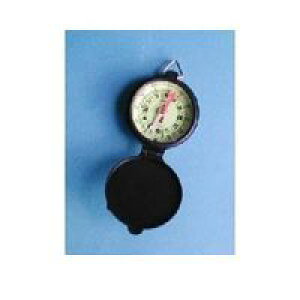 V 75592 RpX C|2 IC a 75592