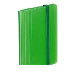 RN KOKUYO C-N1212LG J[hz_[mr[^60 120 pCgO[ C|N1212LG