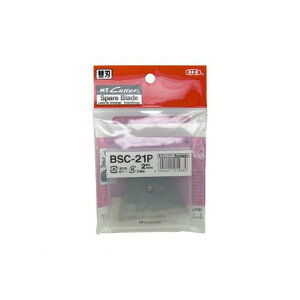 NTJb^[ GkeB[ BSC-21P XN[p[֐n BSC21PyAKBz