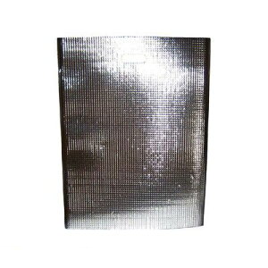 6142120 ۗEۉobO GXP[N[ Vo[(10)LC|LL 4548170186606