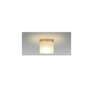 NECCeBO SXM-LE171704L LED^V[O ؘg dF SXMLE171704L