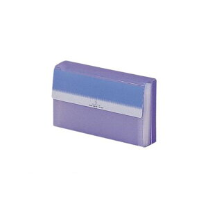 リヒトラブ LIHIT LAB. G5602-14 リクエスト スーパーヴュー・ドキュメントケース 長3封筒 14ライトブルー 4903419838676【AKB】