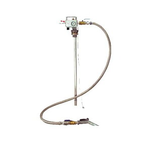 ylzszyF1zANAVXe ANA APD20AS  sE[J[s GAvbV[|v hʓfop