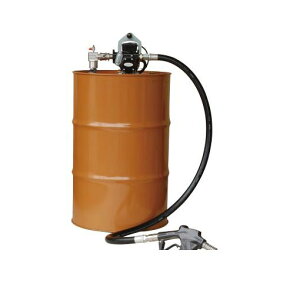 yF1zANAVXe ANA EVPD56ATN  sE[J[s dh|v