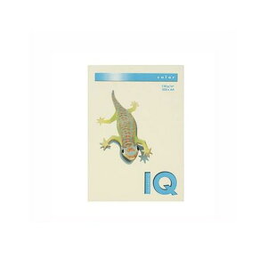 ɓ BT730 oj oCIgbvJ[A4 250 BT730ojyAKBz