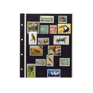 e[W[ SB-306S X^vXyA[6i䎆y10z SB306S