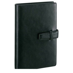 ���C���C���� DB3006B �_�E�J�B���`�@�X�^���_�[�h�@�V�X�e���蒠�@�����@�u���b�N�yAKB�z