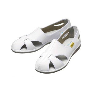 ~hS ELEPASSCOOL21.5 ÓdƌC GpXN[ zCg 21D5CM