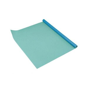 �y���F35�z�R��Y�� F1644235 �y���ی�V�[�g�z�j���|�t���A�V�|�g0�D42mm�y35m���z���C�g�O���[��