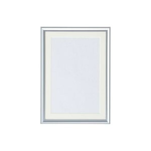 NE CR-GA116A-AL A~ʐ^zy1z CRGA116AAL