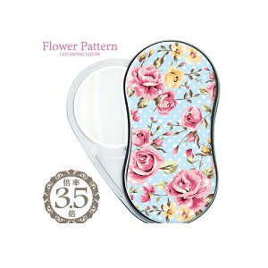 hvX`bN SR-1900-21 LEDXEBO[y fUC21 SR190021yAKBz