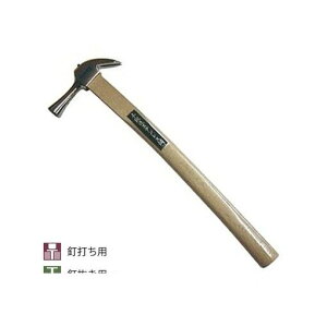 {쏊 4953673202119 XeXgn}[yȖؕz ~