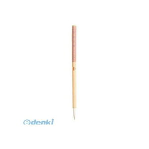 �������� AN-08 �y5���z�M �G�莆�p�ʐF�M�� AN08�yAKB�z