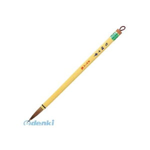  PM-100 y5zM KM PM100yAKBz