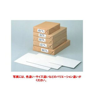 �A�s�J �C�^5 �ڕ\�� A3 100�� 450g�^m2�yAKB�z