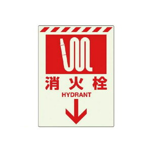 jbg 831-09 ~XebJ[ ΐ  83109