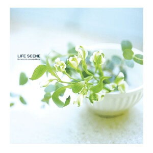 iJoV 33829 tGAoDigio CtV[ u[ LPF|1001|B 33829