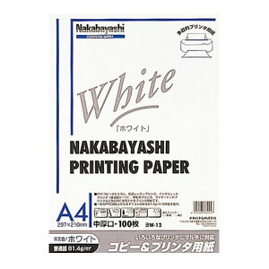 iJoV 66005 Rs[v^p zCg^Cv A4F100 W|12 66005