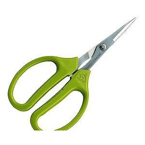 �����o�� ���� ����s�E�����[�J�[�����s�� �A���X�R�[�|���[�V���� ARS 330S-T �V���[�v�N���t�g���n 330ST�y�L�����Z���s�z