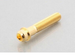 キタコ KITACO 0901-080-00007 ビビッドボルト 24K 8X45/1PC 090108000007