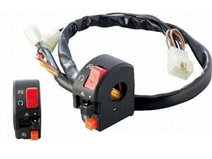 �A�N�e�B�u ACTIVE 1387401 �X�C�b�`KIT TYPE-2 NINJA250R 08-10 ZRX1100 97-00�^1200R�^S 01-08�^DAEG 09-10 �����^�}���[�V�A