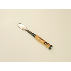 nH 50012100 ؒ̂ ^ 21mm