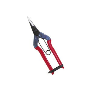 ���� ����s�E�����[�J�[�����s�� �ߐ� 4967645011203 �E���� �뒼�n T�|500 BP�y�L�����Z���s�z