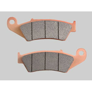 �f�C�g�i DAYTONA 97119 �S�[���f���p�b�hX �yF�zWR250R