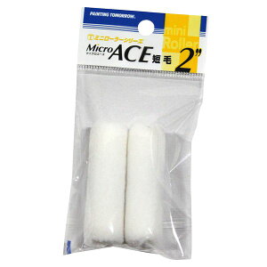 ˍѐ 2MS-MIC ~j[[ Micro ACEZ6mm y2zPz 2MSMIC
