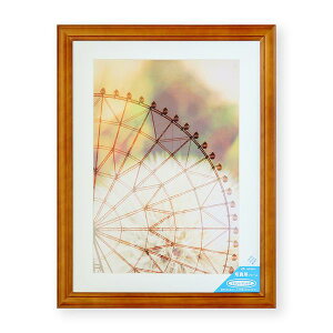 大仙 C028D3508 写真額 ベルン ブラウン ワイド四つ切 箱入