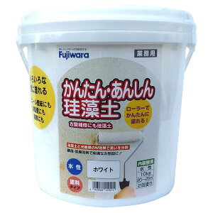 tWw 4943068419215 ȒPS]y 10kg zCgyLZsz