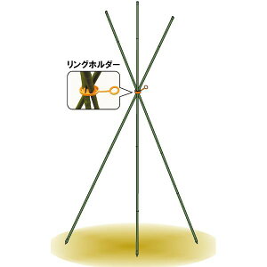 rj[ 4968438005805 Orx 7X9CM