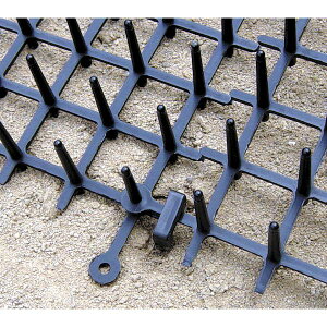 rj[ 4968438010618 _V[g1