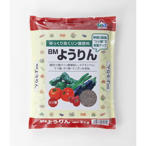 H 4513272014119 BM悤2kg