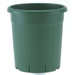 AbvEFA[ 4905980310377 o10GR