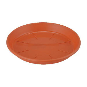 AbvEFA[ 4905980493131 MAP16eRb^